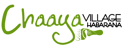 Chaaya Logo animation