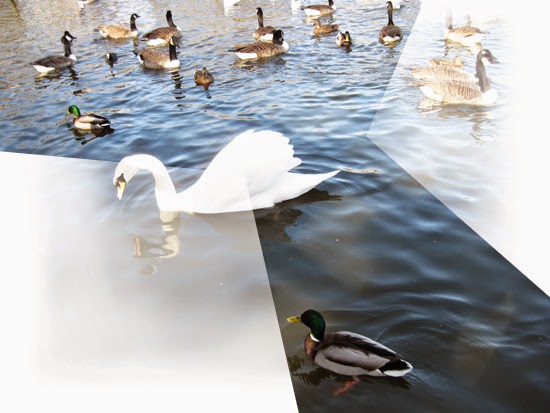 Individualism and Collectivism and Me trying to learn them Individualism and Collectivism and Me trying to learn them